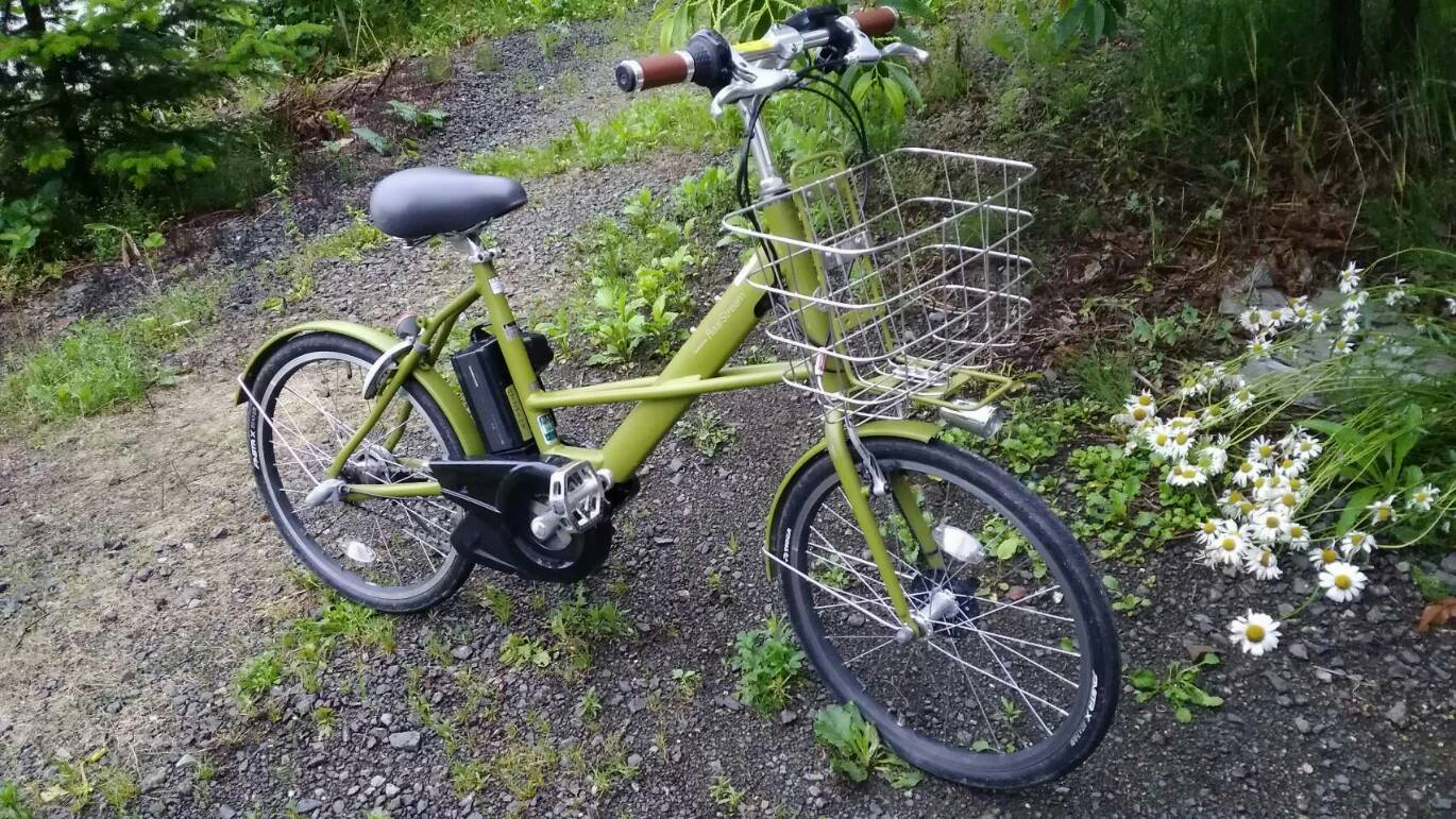 【引取り限定】ブリヂストン　エコパル　22インチ　ラベンダー　中野区杉並区 エコパル ラベンダー 22インチ ブリヂストンサイクル キッズサイクル