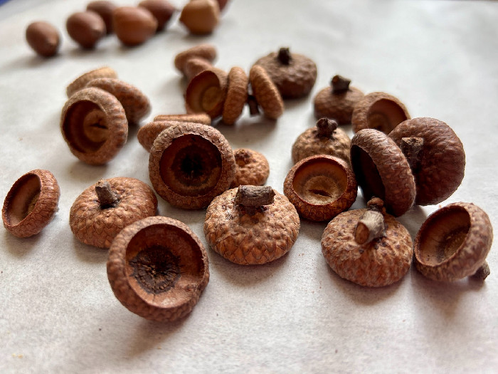 IMG_6411.jpeg?ph=78e23bd96a